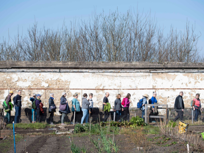 A group of individuals walking in a line as part of a PCHP led walk.